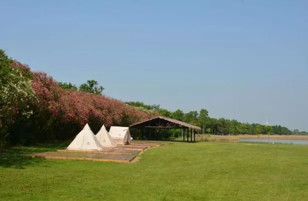 上海東灘濕地公園一日游攻略