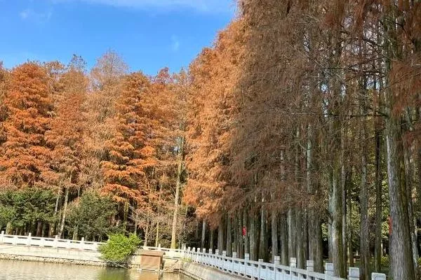 福州國家森林公園旅游攻略一日游