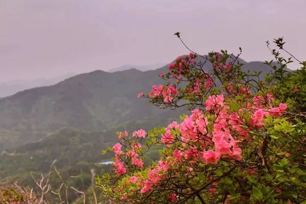 湖北武漢黃陂云霧山<a href='/fengjing/' target=_blank>風景</a>區(qū)在哪里?木蘭云霧山在哪個地方?