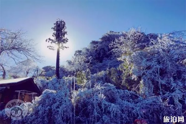 2019-2020重慶冷水國(guó)際滑雪場(chǎng)12月16日開滑 附班車信息