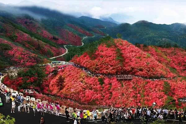 湖北武漢黃陂云霧山風景區(qū)在哪里?木蘭云霧山在哪個地方?