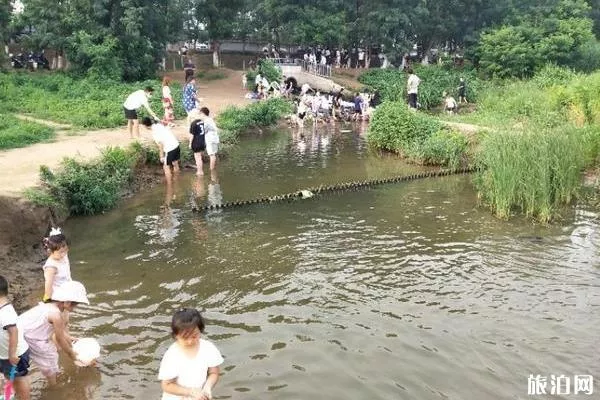 北京沙河水庫釣魚指南