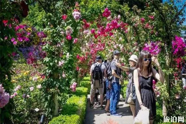 武漢木蘭玫瑰園門票價格多少錢