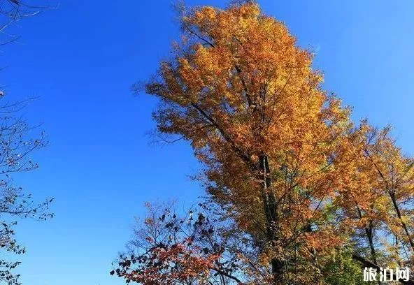 河北秋山風(fēng)景區(qū)簡介 秋山風(fēng)景區(qū)游玩指南