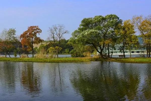 中山植物園南園游玩攻略