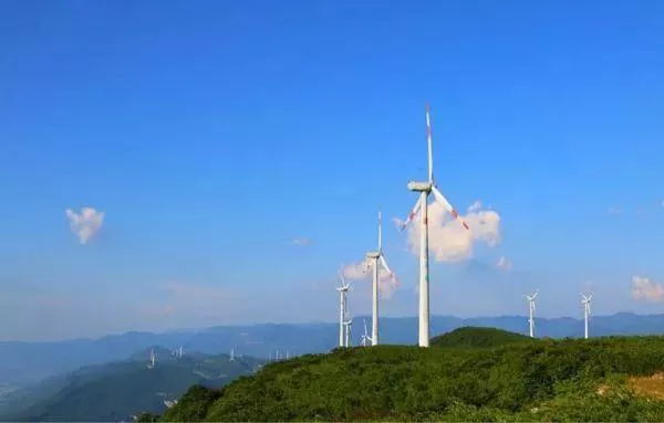 武隆區(qū)春游踏青好去處推薦 賞花、摘草莓等玩法都有哦